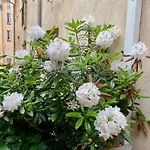 Appartement luxe terrasse climatisation centre d Aix